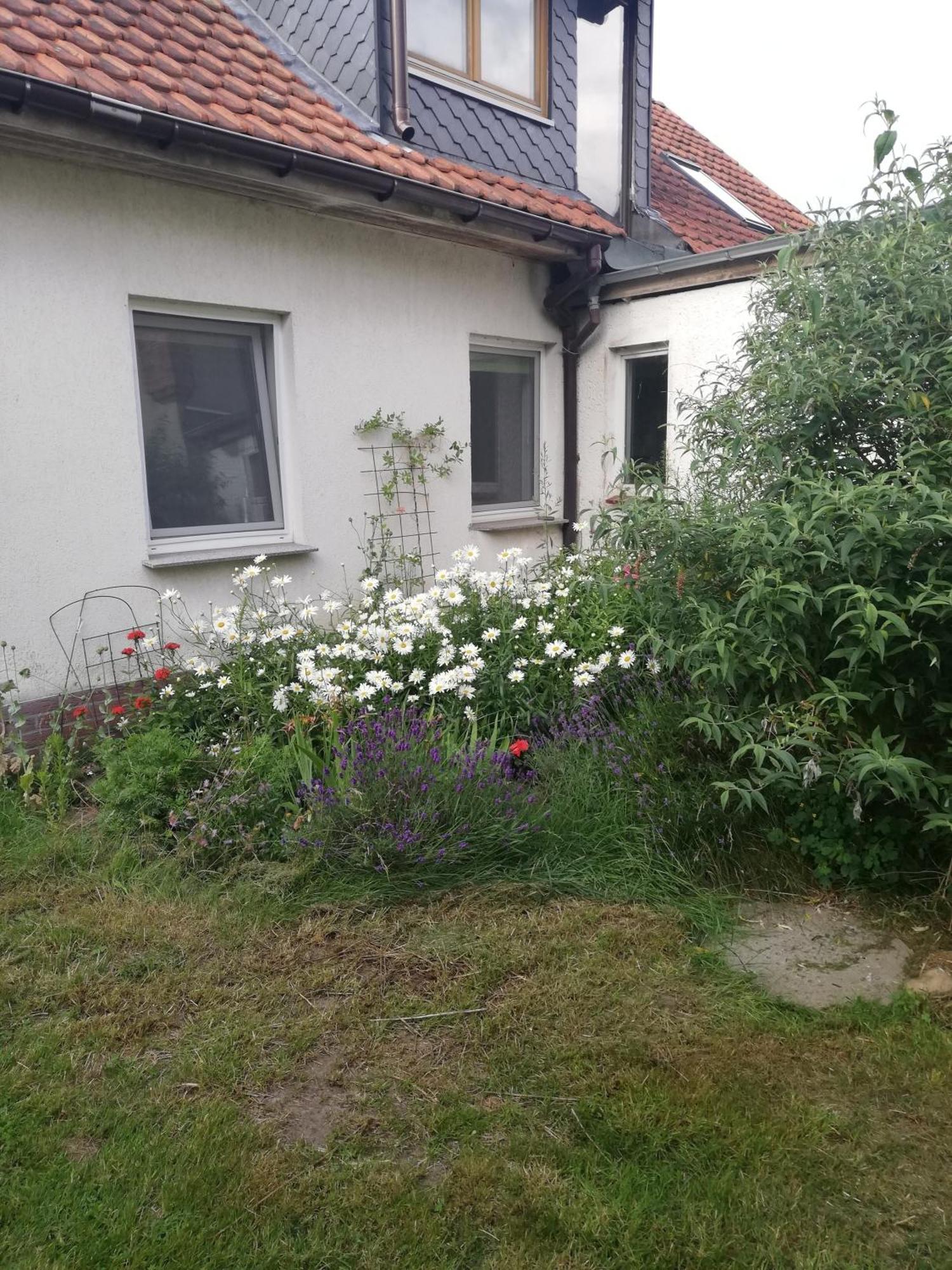 Ferienwohnung Wittenburg Exterior foto